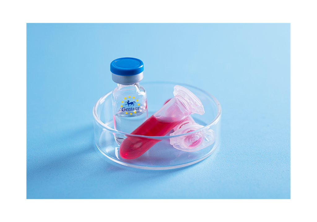 [GEN - PYT021-1ug] AIMP1 Human